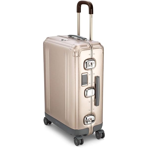 Amazon.com: International Carry-On Case : Musical Instruments